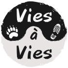 Logo_Vies__Vies_vide.png